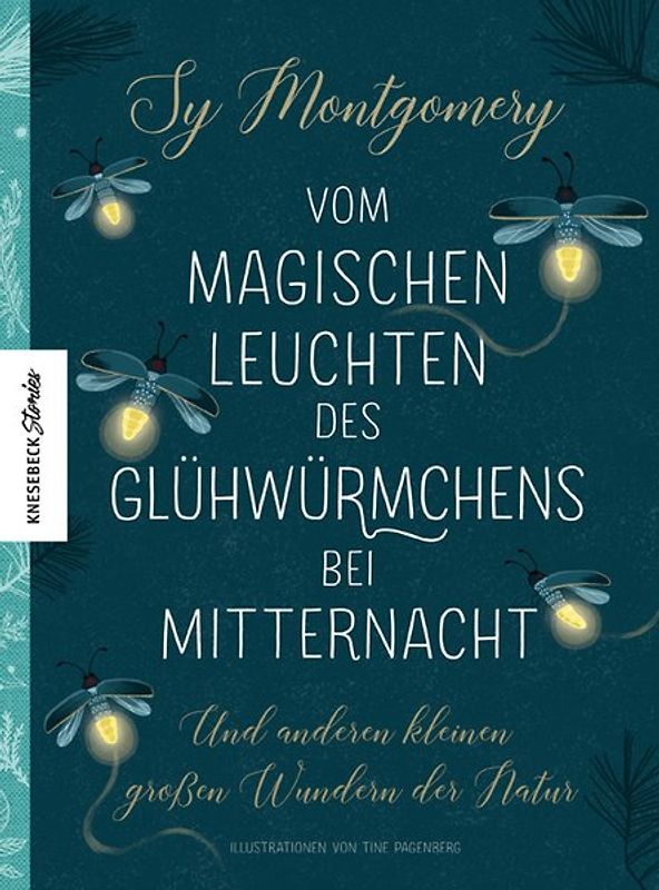 Vom magischen Leuchten des Glühwürmchens bei Mitternacht