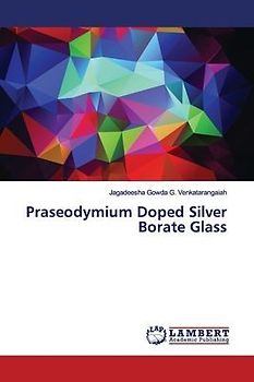 Praseodymium Doped Silver Borate Glass
