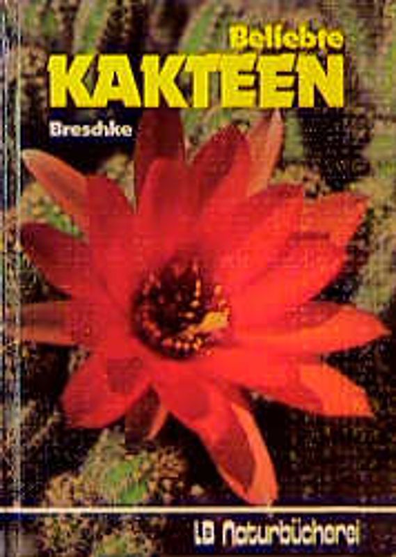 Beliebte Kakteen