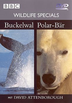 Wildlife Specials 04 - Buckelwahl / Polar-Bär - David Attenborough DVD