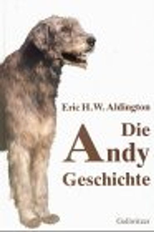 Die Andy Geschichte. Eine Erzählung