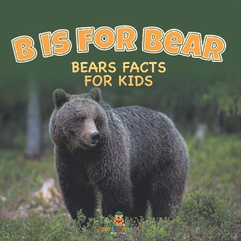 B is for Bear