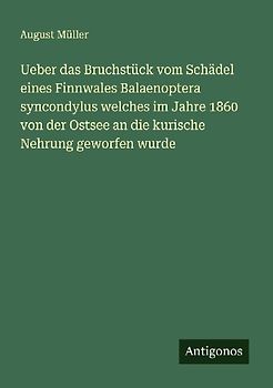 Ueber das Bruchstück vom Schädel eines Finnwales Balaenoptera syncondylus welches im Jahre 1860 von der Ostsee an die kurische Nehrung geworfen wurde