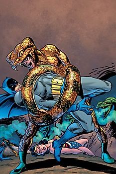 Showcase Presents: The Brave and the Bold VOL 01: The Batman Team-Ups - Bob Haney