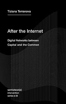 After the Internet: Digital Networks between Capital and the Common (Semiotext(e) / Intervention Series, Band 33)