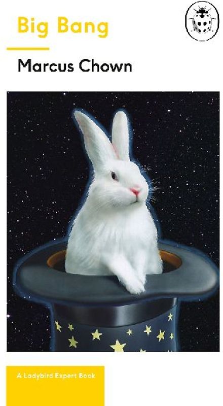 Big Bang: A Ladybird Expert Book