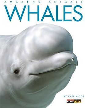 Whales