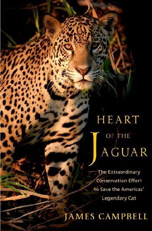 Heart of the Jaguar
