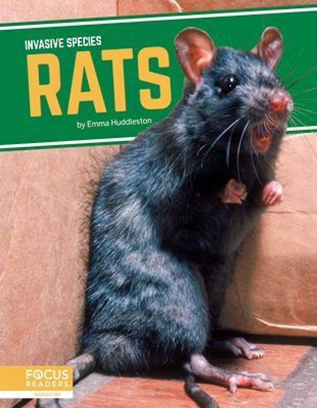 Rats
