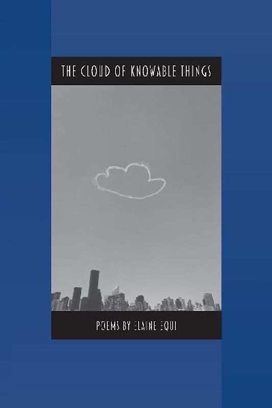The Cloud of Knowable Things