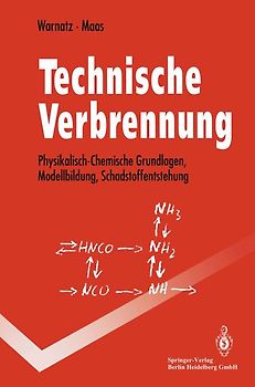 Technische Verbrennung