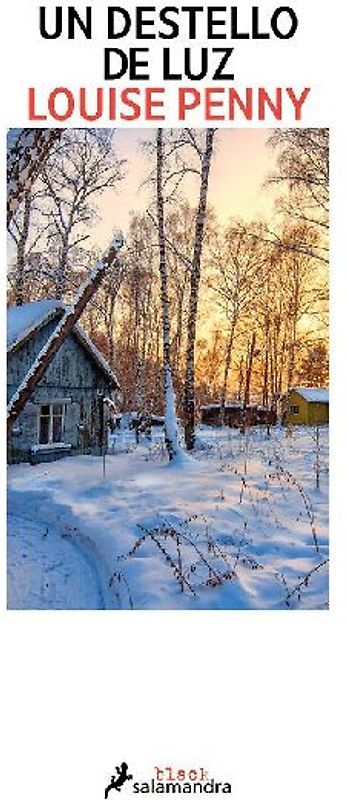 Un Destello de Luz / How the Light Gets in