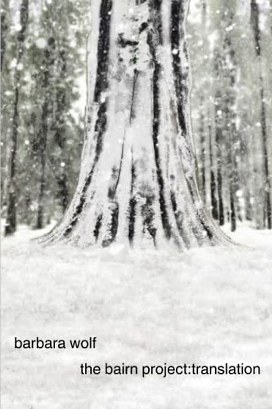 The Bairn Project: Transition: Book 2 of the Bairn Trilogy