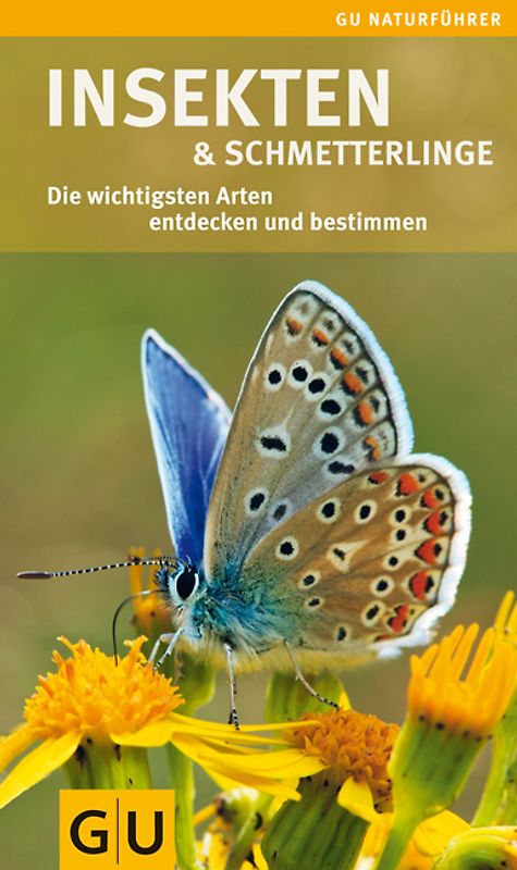 Insekten und Schmetterlinge