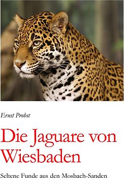 Die Jaguare von Wiesbaden