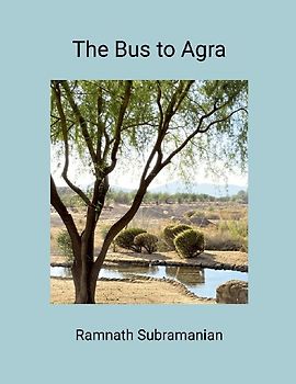The Bus To Agra