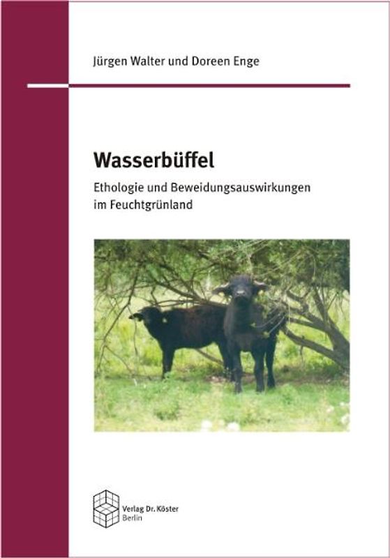 Wasserbüffel