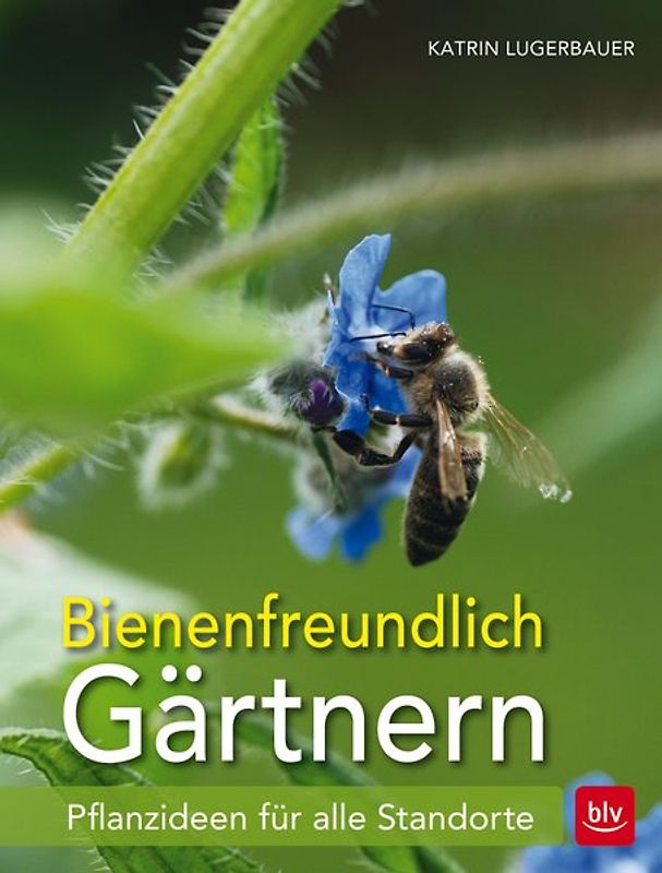 Bienenfreundlich Gärtnern
