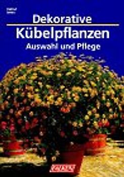 Dekorative Kübelpflanzen. Auswahl und Pflege