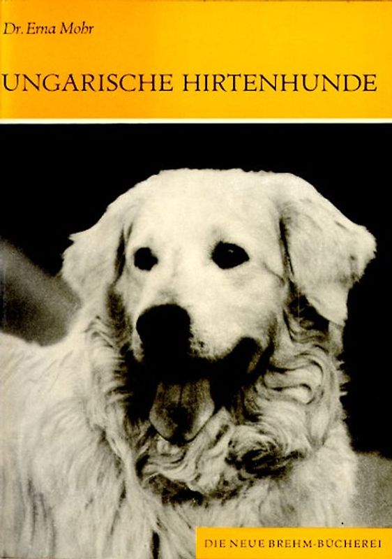 Ungarische Hirtenhunde