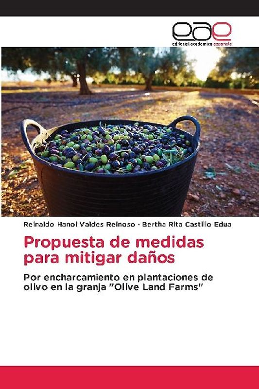 Propuesta de medidas para mitigar daños