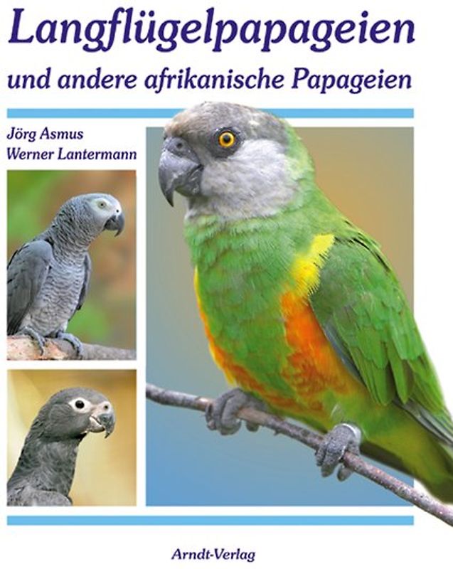 Langflügelpapageien und andere afrikanische Papageien