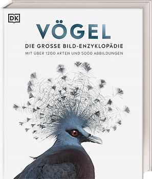 Vögel