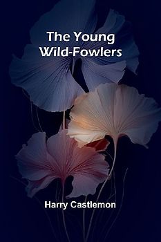 The Young Wild-Fowlers