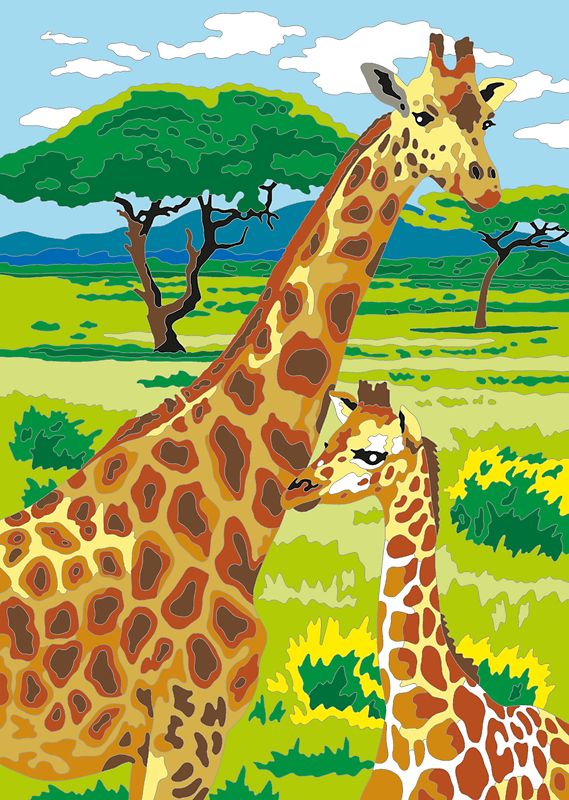 Grundzüge des Kommunalrechts in der Bundesrepublik Deutschland