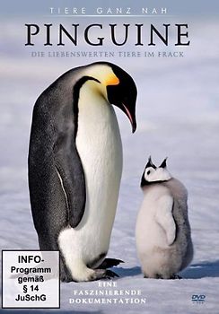 Pinguine DVD