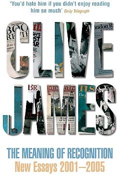 The Meaning of Recognition