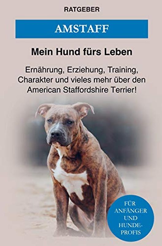American Staffordshire Terrier: Erziehung, Pflege, Training, Ernährung und einiges mehr über den Amstaff