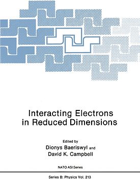 Interacting Electrons in Reduced Dimensions