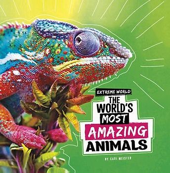 The World's Most Amazing Animals