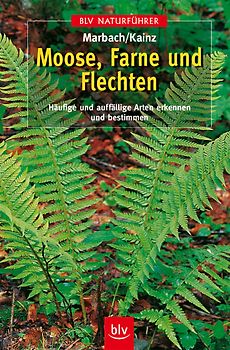 Moose, Farne und Flechten