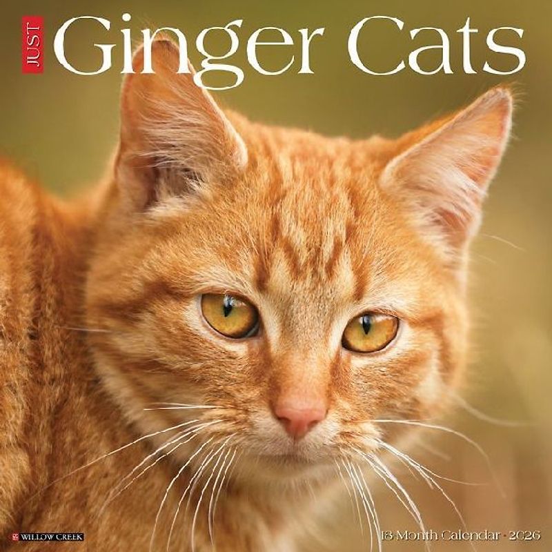 Ginger Cats 2026 12 X 12 Wall Calendar