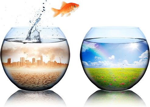 Musterhandbuch Umweltmanagement nach DIN EN ISO 14001:2015