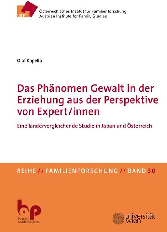 Das Phänomen Gewalt in der Erziehung aus der Perspektive von Expert/innen