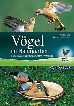 Vögel im Naturgarten