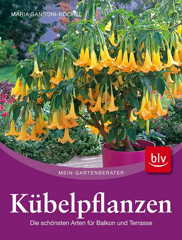 Kübelpflanzen