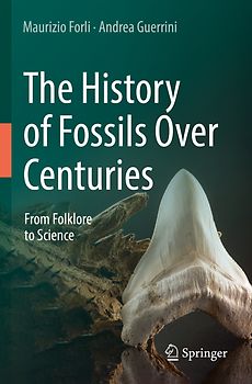 The History of Fossils Over Centuries