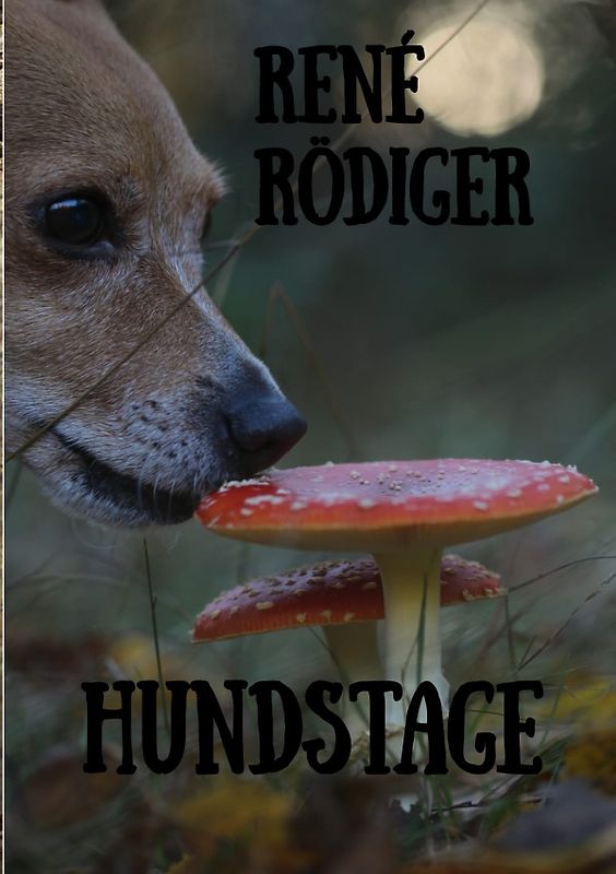 Hundstage