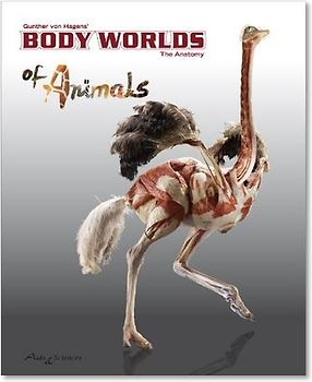Body Worlds of Animals. The Anatomy
