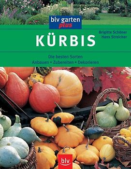 Kürbis
