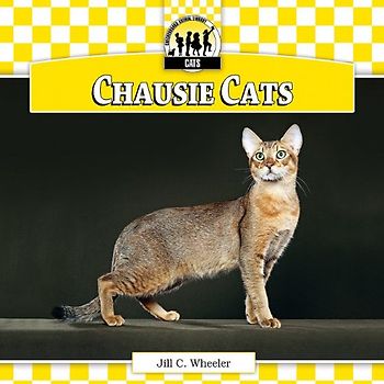 Chausie Cats (Cats Set 5: Designer Cats)