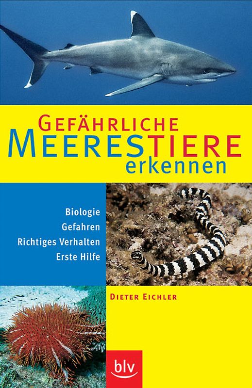 Gefährliche Meerestiere erkennen
