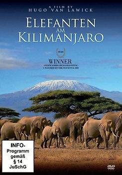 Elefanten am Kilimanjaro DVD