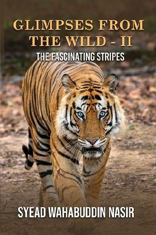 Glimpses from the Wild - II the Fascinating Stripes