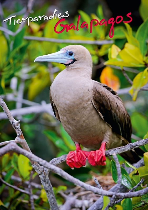 Tierparadies Galapagos (Tischaufsteller DIN A5 hoch)