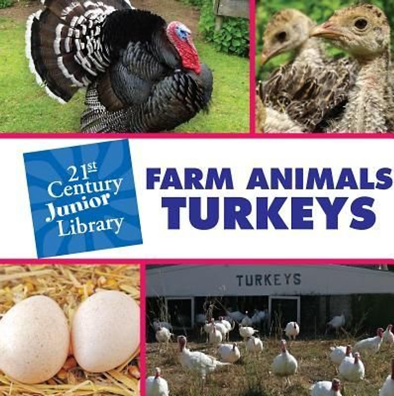 Farm Animals: Turkey